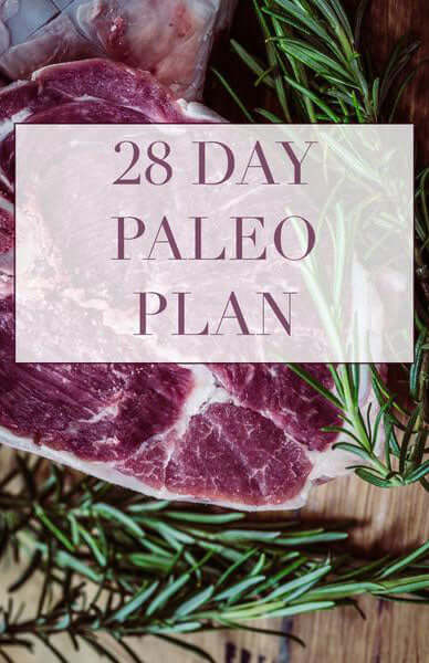 Cleanblend 28 Day Paleo Meal Plan (Download) - Paleo Diet Plan E Book