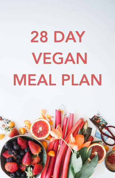 Cleanblend 28 Day Vegan Plan Book (Download) - Diet eBook Online